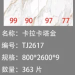 Sintered stone slab sample 9