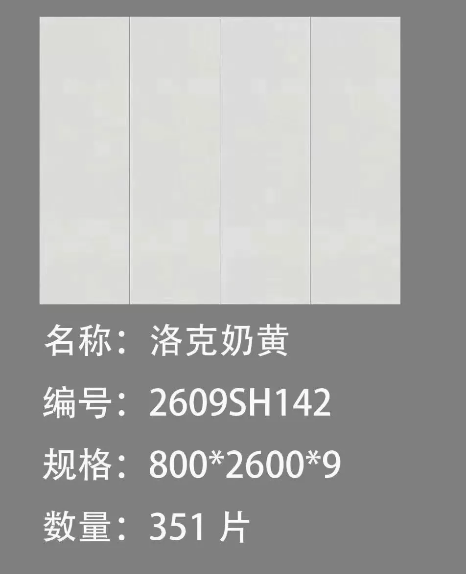 Sintered stone slab sample 5