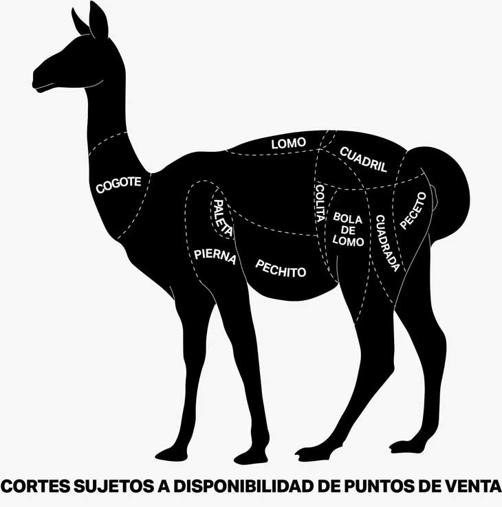 Guanaco Meat Now Sold on Supermarket Shelves