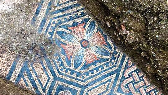 Ancient Roman Mosaic Tile Floor Discovered Hidden Beneath Vineyard