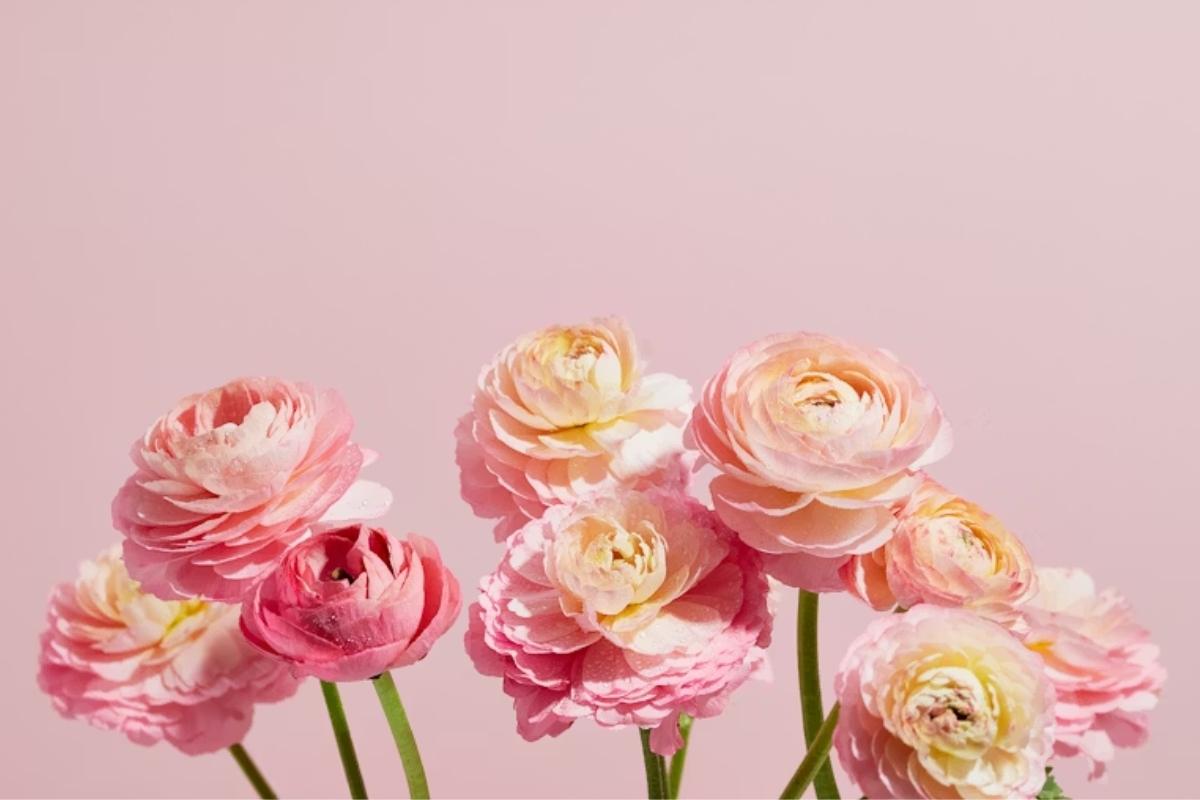 Mother's Day: 3 Gifts to Say 'I Love You' Without Words