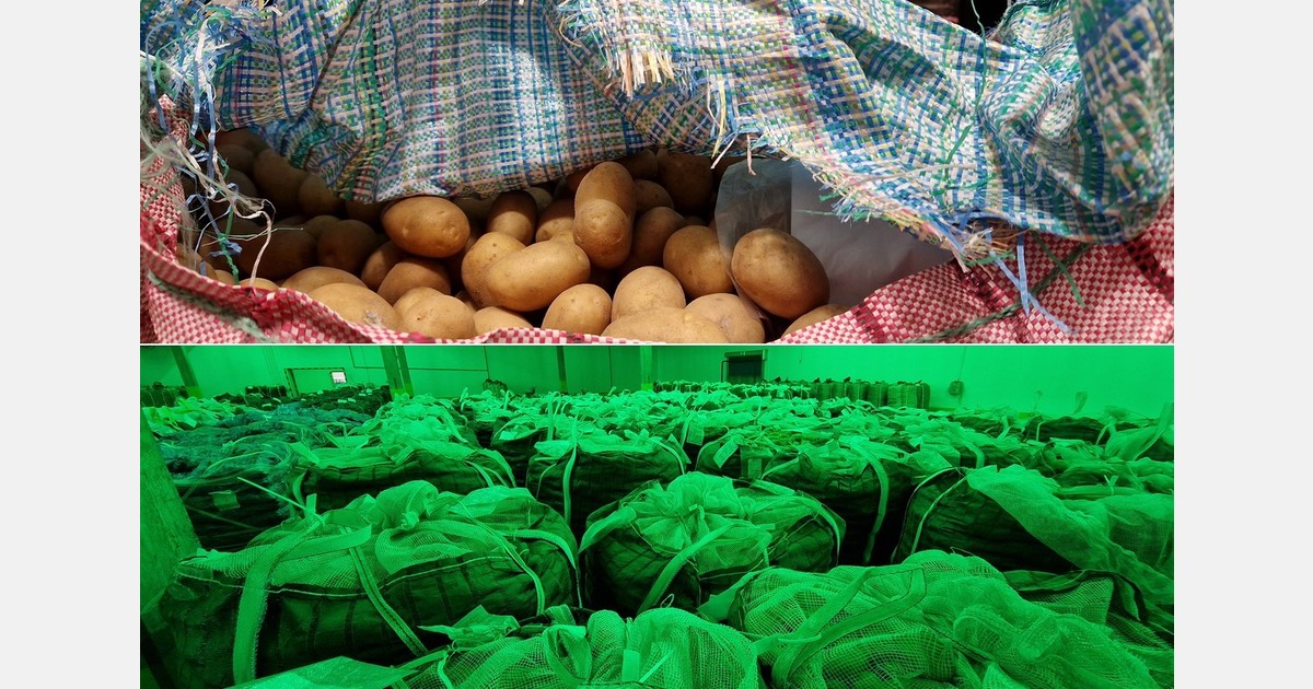 Despite European Consumption Potato Surpluses, We Expect a Completely Normal Campaign